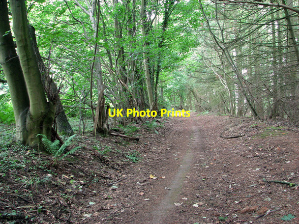 Photo 6"x4" Path marked as public road, Wroxham Salhouse c2011