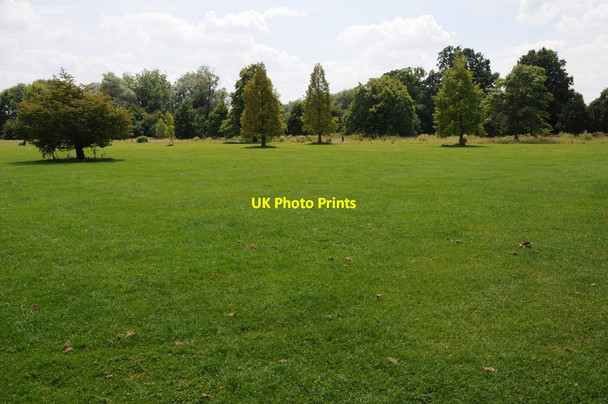 Photo 6"x4" Marsh Meadow, Henley-on-Thames Henley-on-Thames c2011