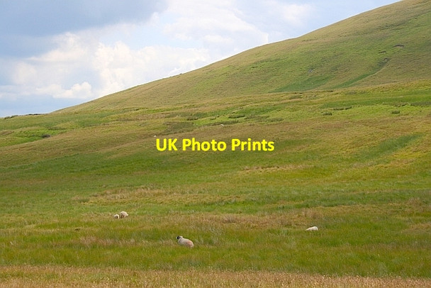 Photo 6"x4" Keld Bank Ribble Head\/SD7779 c2011