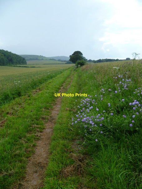 Photo 6"x4" Bridleway going west to Barns Farm Washington\/TQ1212 c2011