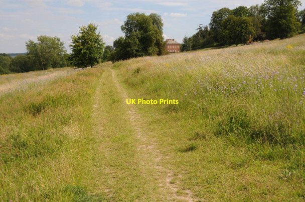 Photo 6"x4" Thames Path at Aston Henley-on-Thames c2011