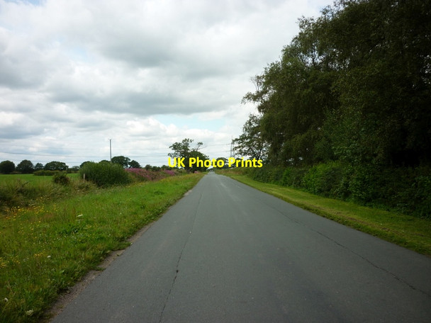 Photo 6"x4" The road to Scamland Bielby c2011