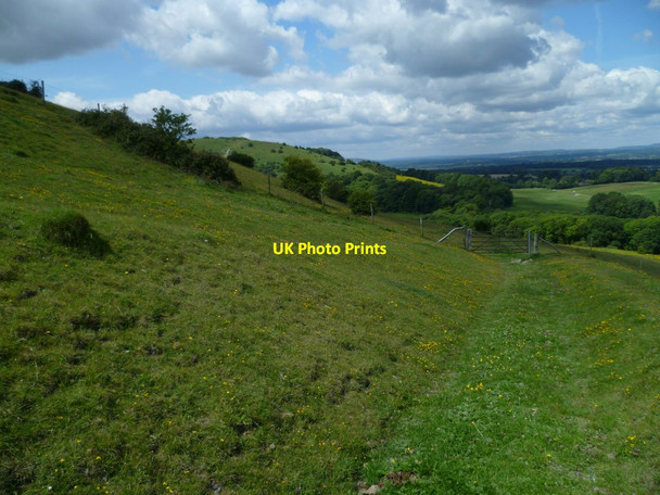 Photo 6"x4" Bridlegate on Sullington Hill (2) Sullington c2011