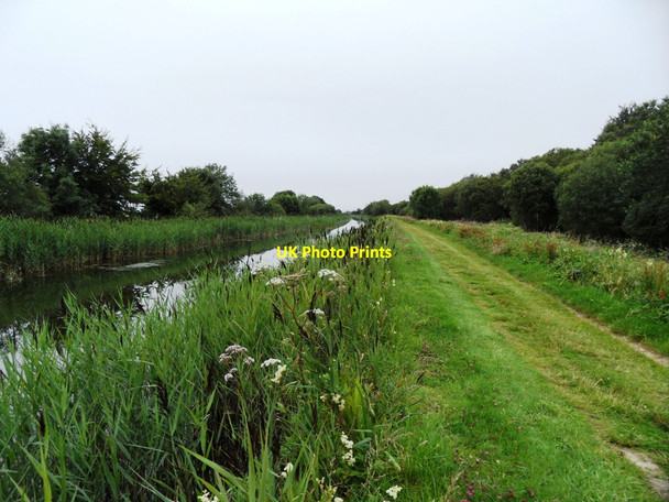 Photo 6"x4" Grand Canal in Rogerstown, Co. Offaly Edenderry c2011