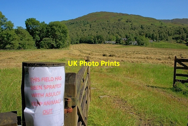 Photo 6"x4" Newly Mown Hay Field, Brig o' Turk Brig o' Turk c2011