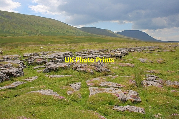 Photo 6"x4" Limestone Outcrops, Fell Close Rocks Ribble Head\/SD7779 c2011