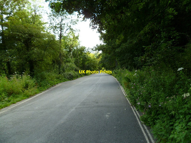 Photo 6"x4" Mill Road by Arundel Wetland Centre Arundel c2011