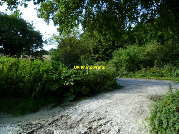 Photo 6"x4" Bridleway reaches West Burton Road below Bury Hill Bury\/TQ0113 c2011