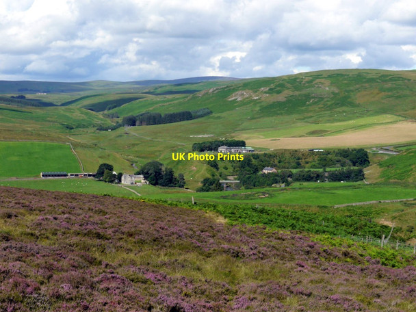 Photo 6"x4" Linshiels, Quickening Cote and Linbriggs from the east Linbriggs c2011