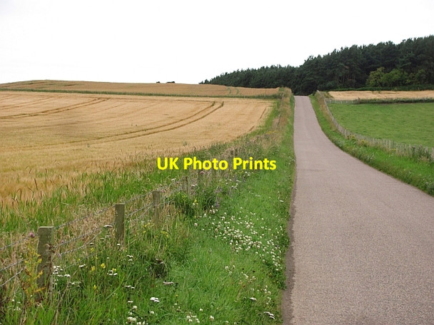 Photo 6"x4" Minor road near Garmouth Burniestrype c2011
