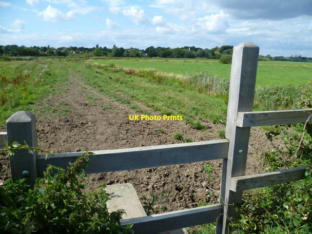 Photo 6"x4" Path by the Arun near Bury Bury\/TQ0113 c2011