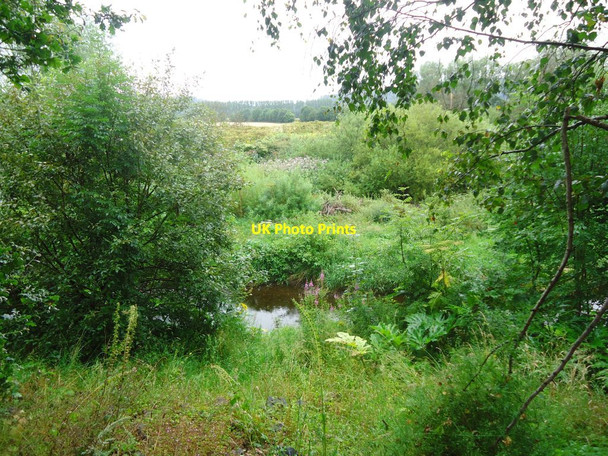 Photo 6"x4" Allan Water Bridge of Allan c2011