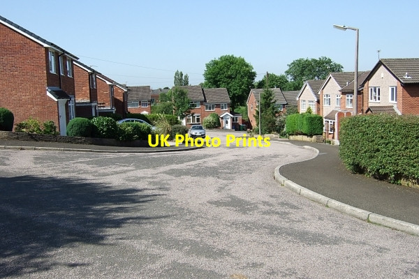 Photo 6"x4" Stock Grove towards Weir Road Milnrow c2011