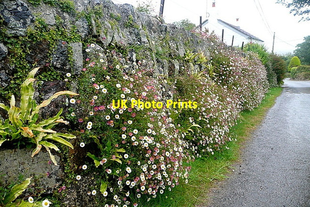 Photo 6"x4" Wall at Cockwells Cockwells c2011