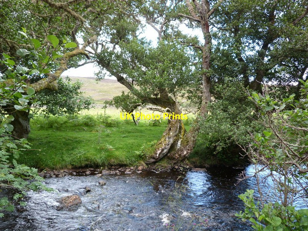 Photo 6"x4" River bank, Strath Carnaig Little Torboll c2011