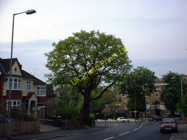 Photo 6"x4" Cabrini Convent Forest Hill\/TQ3573 c2001