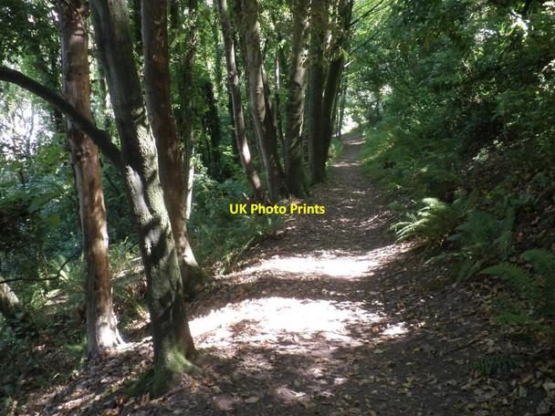 Photo 6"x4" Coastal path, west of Minehead Minehead c2011