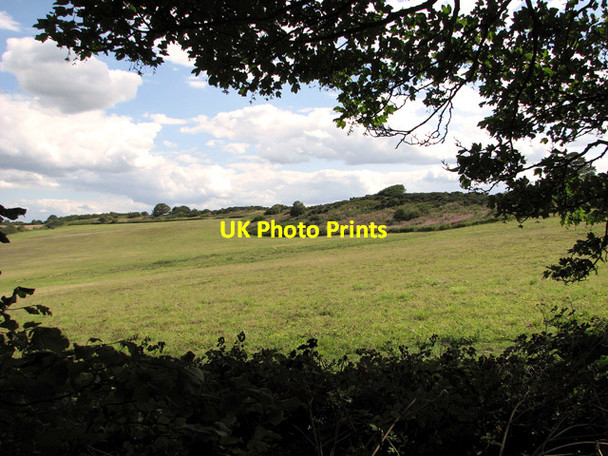 Photo 6"x4" A view of The Hangs from Crockley's Plantation Newgate\/TG0543 c2011