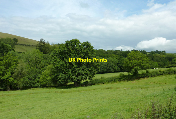 Photo 6"x4" Pasture and woodland west of Llwyn-y-Groes, Ceredigion Llwyn-y-groes\/SN5956 c2011