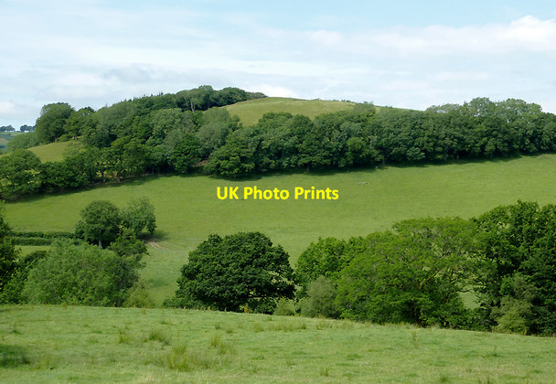 Photo 6"x4" Pasture in Cwm Nant Meurig, Ceredigion Bwlch-Llan c2011