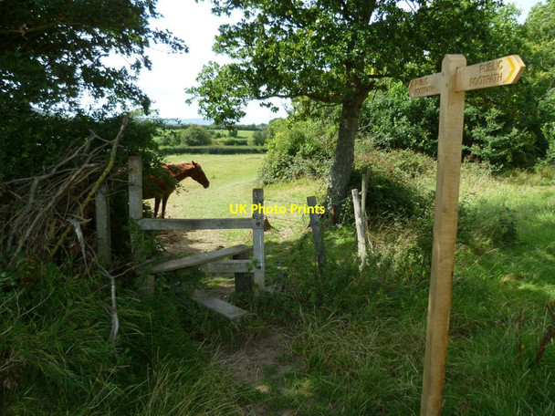 Photo 6"x4" New signpost Poynings c2011