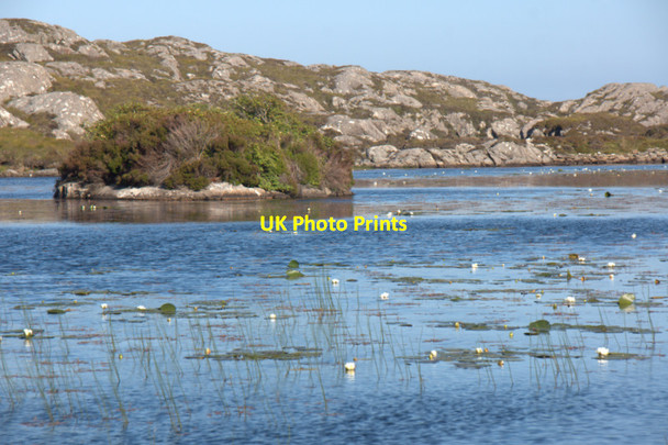Photo 6"x4" Island in Loch nan Craobhag Greosabhagh c2011