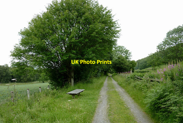 Photo 6"x4" Dismantled railway course near Tregaron, Ceredigion Swyddffynnon c2011