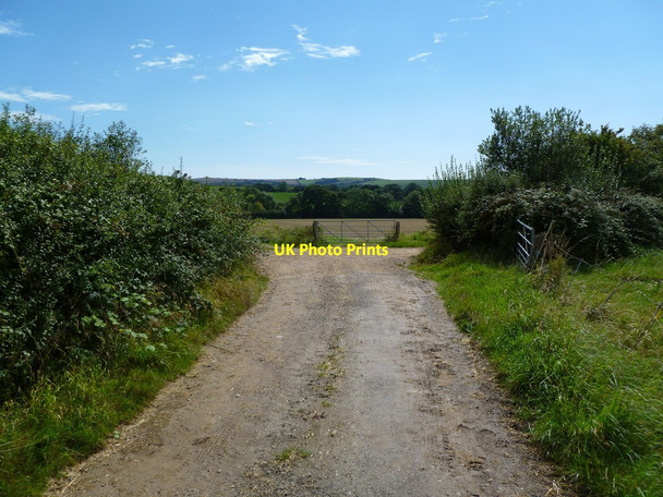 Photo 6"x4" Sturthill, bridleway junction Chilcombe\/SY5291 c2011