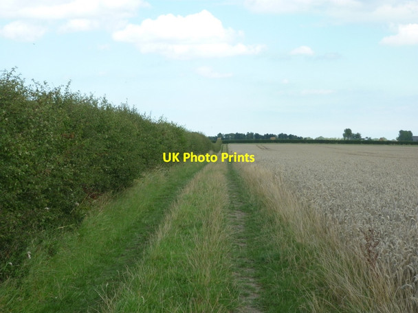 Photo 6"x4" A bridleway leading to Folly Lane (track) Rise\/TA1542 c2011