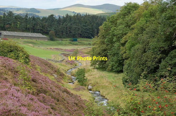 Photo 6"x4" The burn nearing Drumelzier Drumelzier\/NT1334 c2011