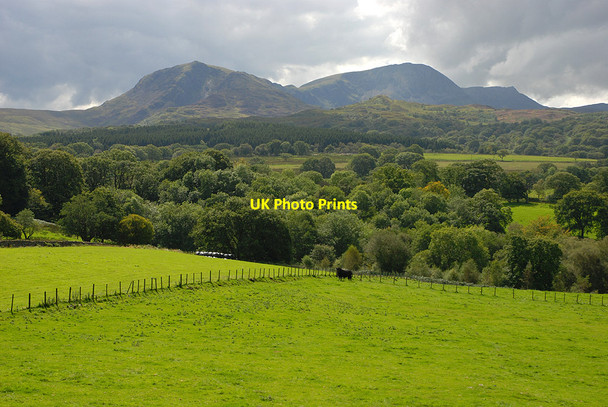 Photo 6"x4" Fields above the Afon Clywedog Brithdir\/SH7618 c2011