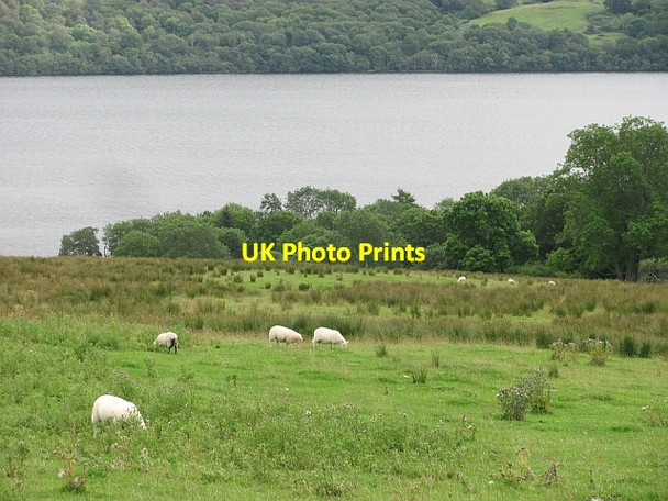 Photo 6"x4" Fields above Loch Tay Lawers\/NN6739 c2011