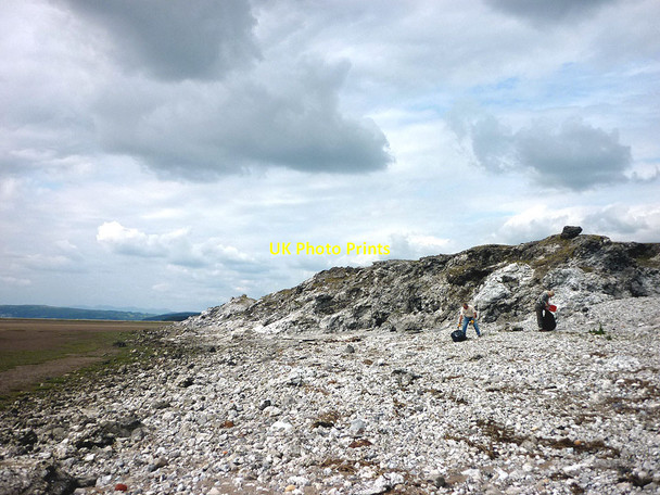 Photo 6"x4" Litter pick on the shore, Warton Sands Carnforth c2011