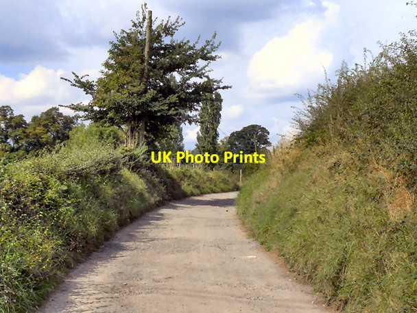 Photo 6"x4" Path Between Goyt Hall and Lower Bredbury Romiley c2011