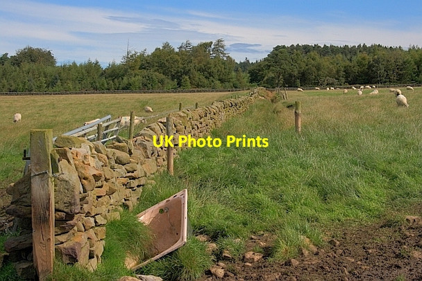 Photo 6"x4" Wall off Moor End Road Harwood Dale c2011