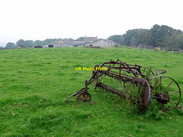 Photo 6"x4" Sheep pasture north of Baal Hill Farm Upper Town\/NZ0737 c2011