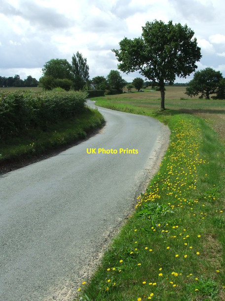 Photo 6"x4" Country Road Hightown Green c2011