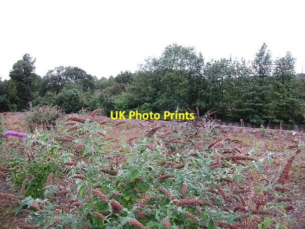 Photo 6"x4" Derelict land, Edinburgh Road Linlithgow c2011