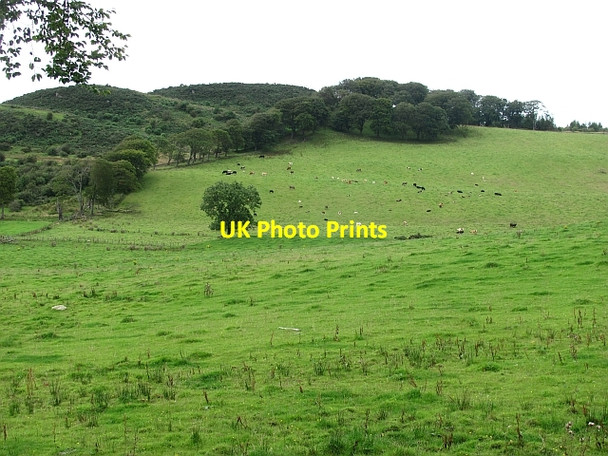 Photo 6"x4" Gormyre Hill Torphichen c2011