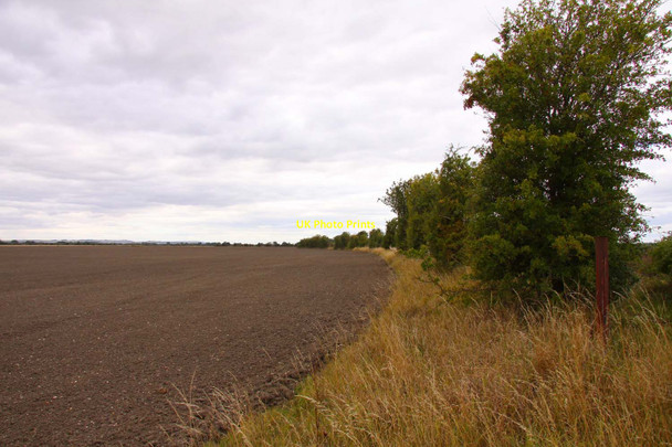 Photo 6"x4" Field by the hedgerow Drayton\/SU4794 c2011
