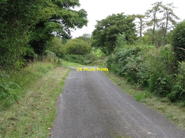 Photo 6"x4" Drumlee Road near its junction with the Tullynasoo Road Kilcoo c2011