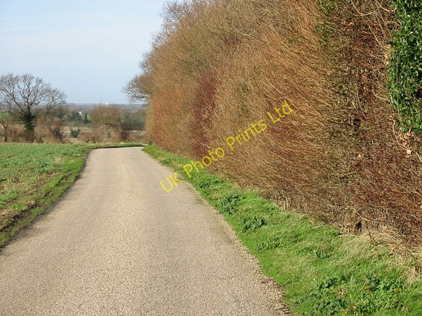 Photo 6"x4" View along road and hedge near Brambling. Bossington\/TR2355 c2007