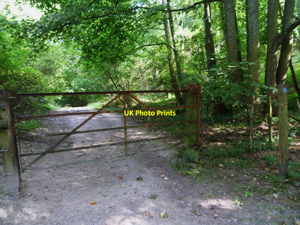 Photo 6"x4" Bridle gate near Owlscroft Barn Washington\/TQ1212 c2011