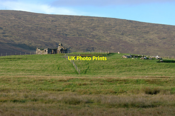 Photo 6"x4" Setter of Northdale, Haroldswick Bothen c2011