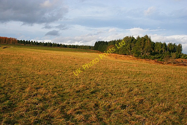 Photo 6"x4" Herricks Moss Glen of Newmill c2007