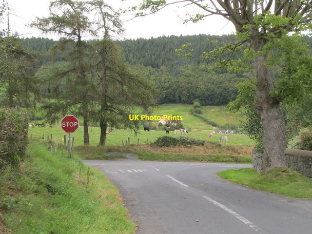 Photo 6"x4" View east from the junction of Lavallyreach and Greenpark Roads Rostrevor c2011