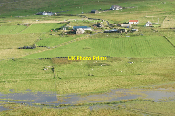 Photo 6"x4" Norwick Meadows Kirkaton c2011