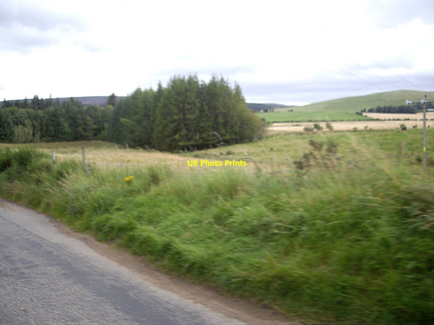 Photo 6"x4" Copse NW of Rhynie Rhynie\/NJ4927 c2011