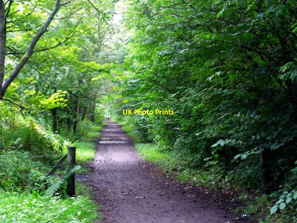 Photo 6"x4" Lennoxtown, path to Milton of Campsie Lennoxtown c2011
