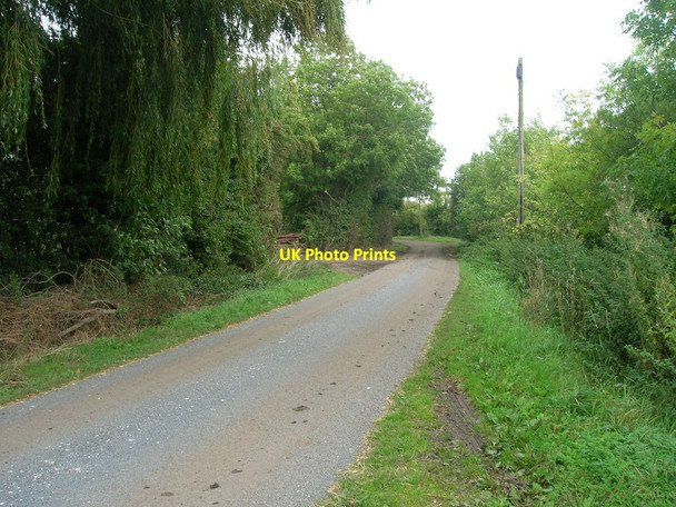 Photo 6"x4" Fenwick Lane Moss\/SE5914 c2011